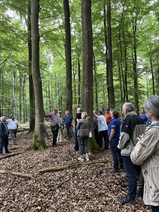 Exkursion im Stadtwald Lohr