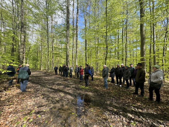 Waldbegang im Revier Arnstein